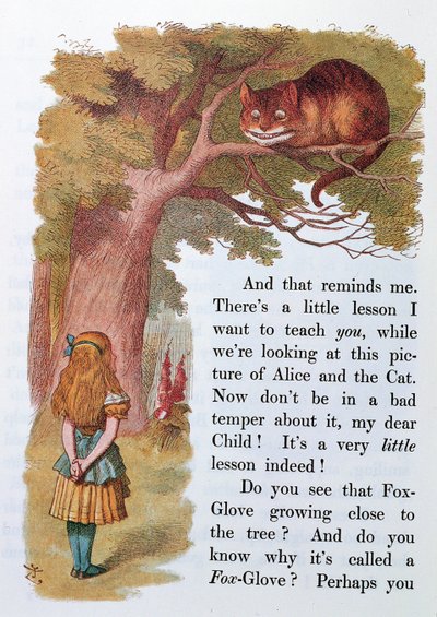Alice en de Cheshire Kat, illustratie uit 